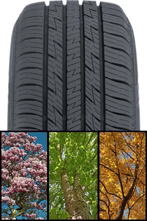 All Season vs All Weather Tires (3 Season vs 4 Season Tires