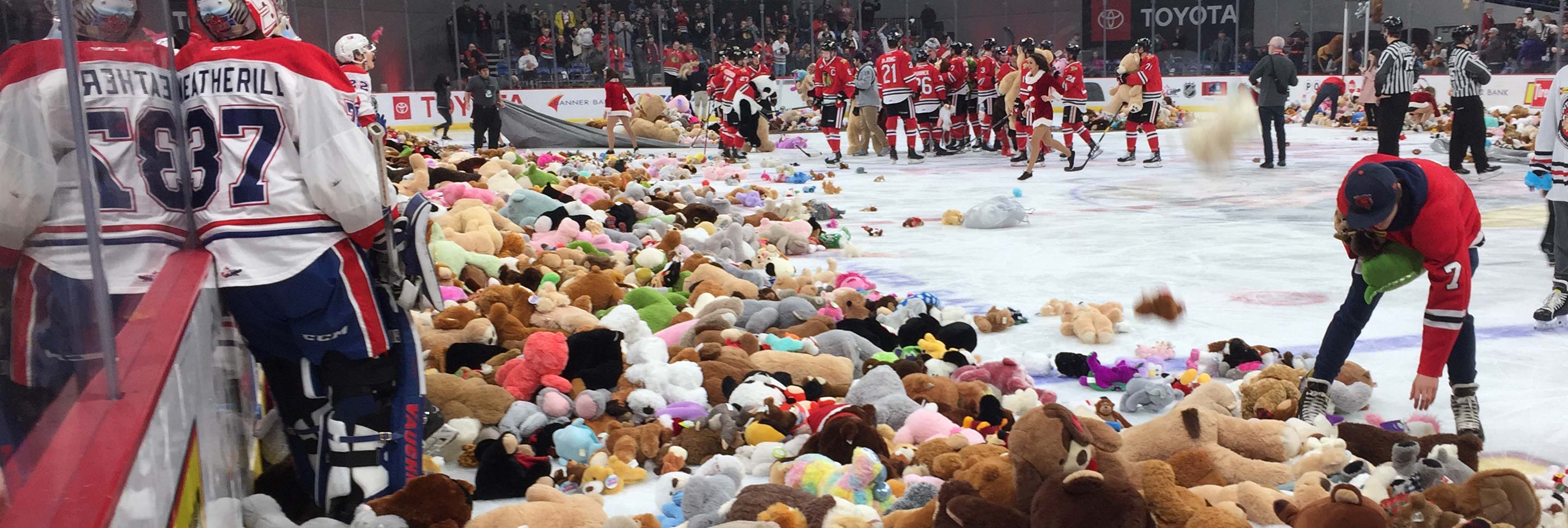 hockey teddy bear toss 2018